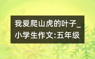 我愛爬山虎的葉子_小學生作文:五年級