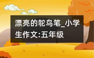 漂亮的鴕鳥筆_小學(xué)生作文:五年級(jí)