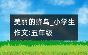 美麗的蜂鳥(niǎo)_小學(xué)生作文:五年級(jí)