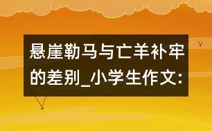 懸崖勒馬與亡羊補(bǔ)牢的差別_小學(xué)生作文:五年級