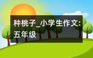 種桃子_小學(xué)生作文:五年級(jí)