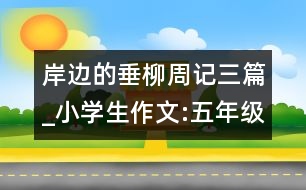 岸邊的垂柳（周記三篇）_小學生作文:五年級