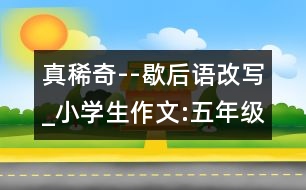 真稀奇--歇后語改寫_小學(xué)生作文:五年級