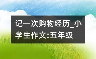 記一次購物經(jīng)歷_小學(xué)生作文:五年級