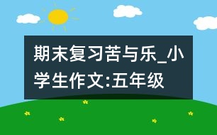 期末復(fù)習(xí)苦與樂_小學(xué)生作文:五年級