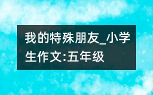 我的特殊朋友_小學(xué)生作文:五年級