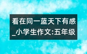 看在同一藍(lán)天下有感_小學(xué)生作文:五年級(jí)