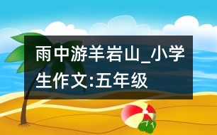 雨中游羊巖山_小學生作文:五年級