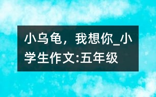 小烏龜，我想你_小學(xué)生作文:五年級(jí)