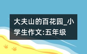 大夫山的百花園_小學(xué)生作文:五年級(jí)