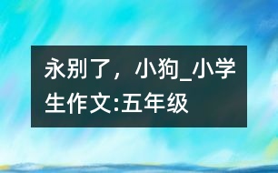 永別了，小狗_小學生作文:五年級