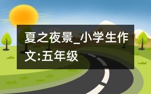 夏之夜景_小學(xué)生作文:五年級