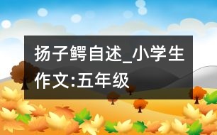 揚(yáng)子鱷自述_小學(xué)生作文:五年級