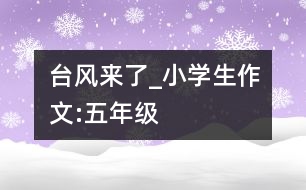 臺(tái)風(fēng)來(lái)了_小學(xué)生作文:五年級(jí)