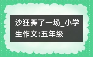 沙狂舞了一場_小學(xué)生作文:五年級(jí)