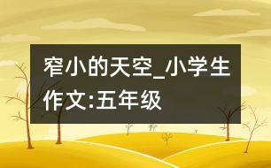 窄小的天空_小學生作文:五年級