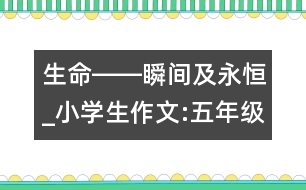 生命――瞬間及永恒_小學(xué)生作文:五年級(jí)