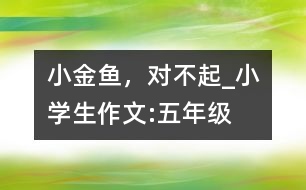 小金魚，對不起_小學(xué)生作文:五年級