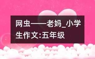 “網(wǎng)蟲(chóng)”――老媽_小學(xué)生作文:五年級(jí)