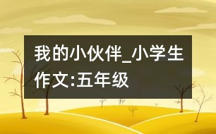 我的“小伙伴”_小學(xué)生作文:五年級