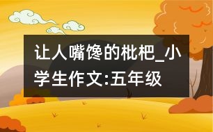 讓人嘴饞的枇杷_小學(xué)生作文:五年級