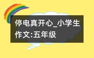 停電真開心_小學(xué)生作文:五年級