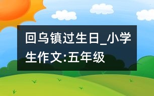 回烏鎮(zhèn)過生日_小學(xué)生作文:五年級(jí)