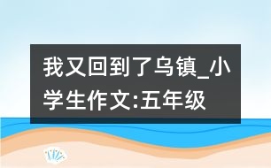 我又回到了烏鎮(zhèn)_小學(xué)生作文:五年級(jí)