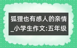 狐貍也有感人的親情_小學生作文:五年級