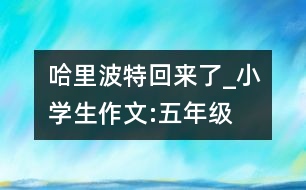 哈里波特回來(lái)了_小學(xué)生作文:五年級(jí)