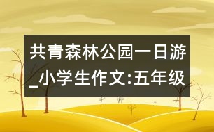 共青森林公園一日游_小學生作文:五年級