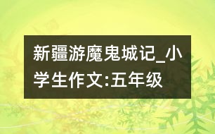 新疆游“魔鬼城”記_小學(xué)生作文:五年級(jí)