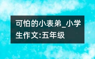 “可怕”的小表弟_小學生作文:五年級