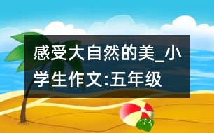 感受大自然的美_小學(xué)生作文:五年級