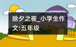 除夕之夜_小學(xué)生作文:五年級(jí)