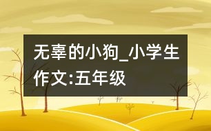 無辜的小狗_小學(xué)生作文:五年級