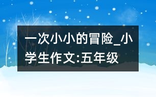 一次小小的冒險(xiǎn)_小學(xué)生作文:五年級(jí)