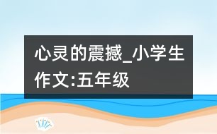 心靈的震撼_小學(xué)生作文:五年級(jí)