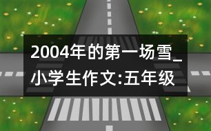 2004年的第一場雪_小學(xué)生作文:五年級