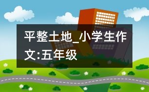 平整土地_小學(xué)生作文:五年級