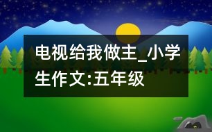 電視給我做主_小學(xué)生作文:五年級