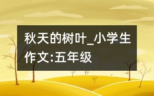 秋天的樹葉_小學生作文:五年級