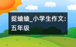 捉蛐蛐_小學(xué)生作文:五年級