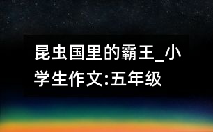 昆蟲國里的霸王_小學(xué)生作文:五年級(jí)