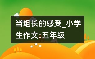 當(dāng)組長的感受_小學(xué)生作文:五年級