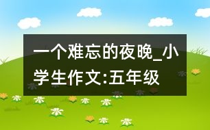 一個難忘的夜晚_小學(xué)生作文:五年級