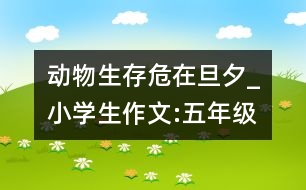 動物生存危在旦夕_小學生作文:五年級