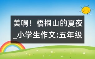 美??！梧桐山的夏夜_小學(xué)生作文:五年級