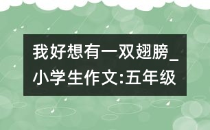 我好想有一雙翅膀_小學生作文:五年級