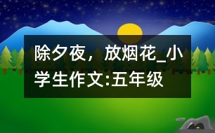 除夕夜，放煙花_小學(xué)生作文:五年級